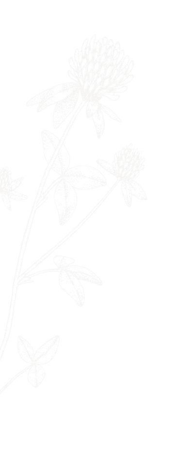 Dr Biva's Integrated Wellness Centre, Siliguri