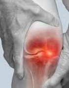 Dr Biva Wellness Integrated Centre