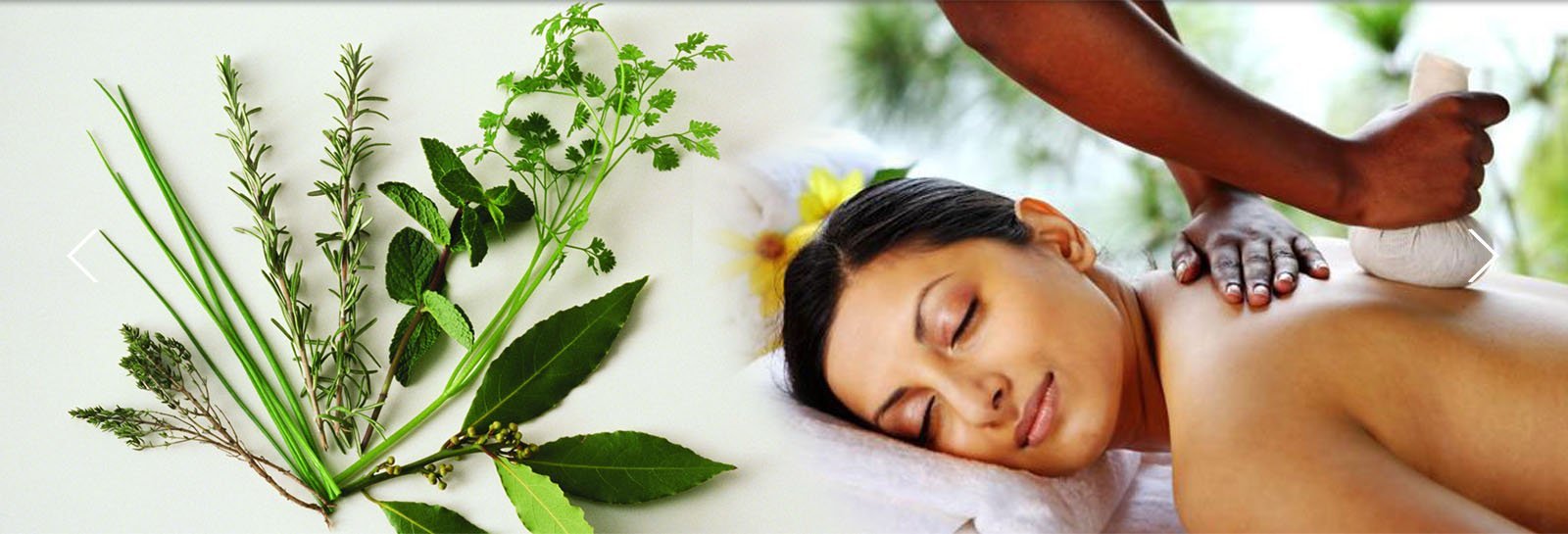 Potli Massage in Siliguri- Dr. Biva's Wellness Integrated Centre